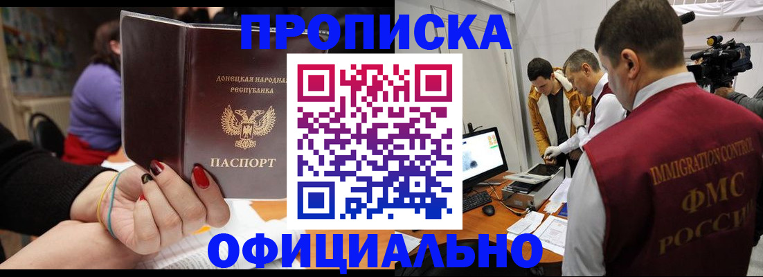 прописка в Ельне